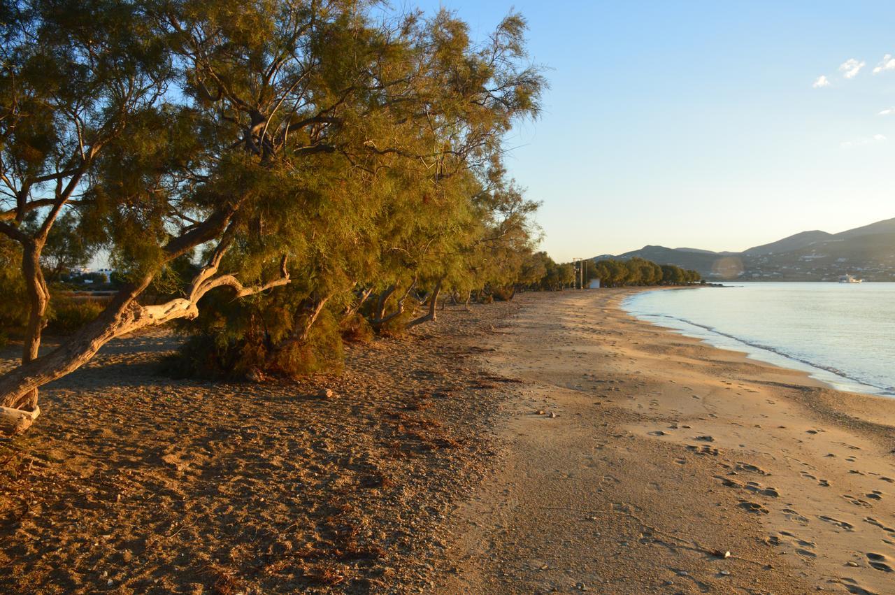Thalasea - Village Antiparos Town Dış mekan fotoğraf